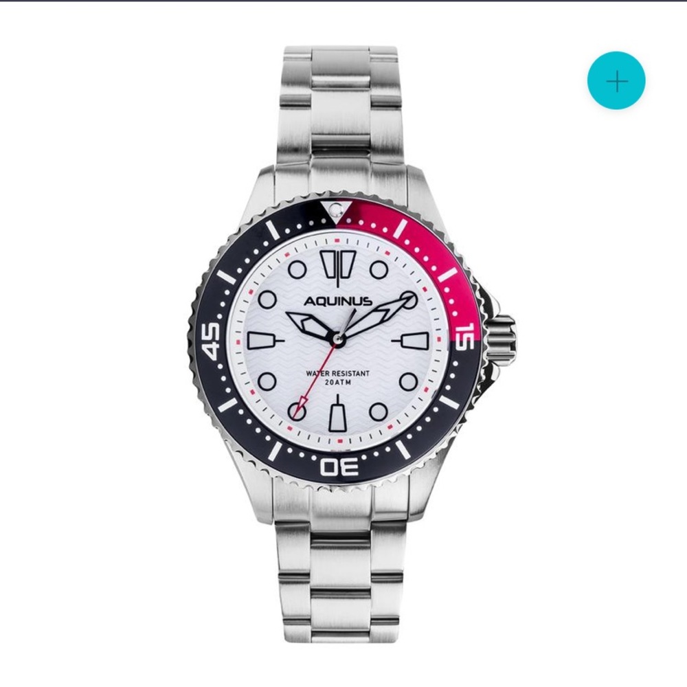 Aquinus Professional Diving Watch for Men